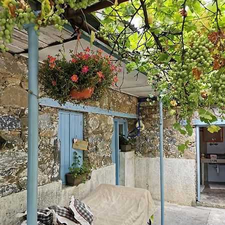 Holiday House Prodromos Luaran gambar