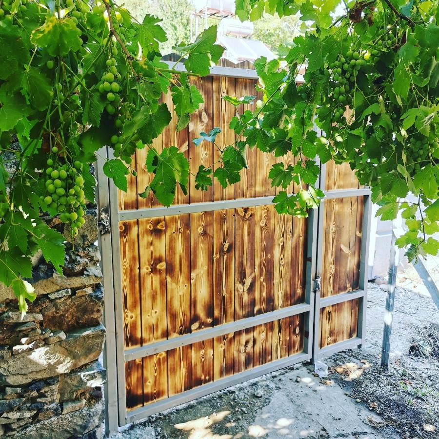 Holiday House Prodromos Luaran gambar