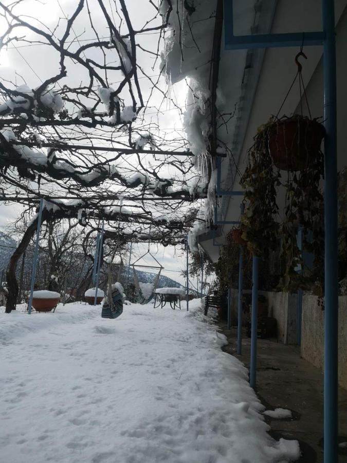 Holiday House Prodromos Luaran gambar