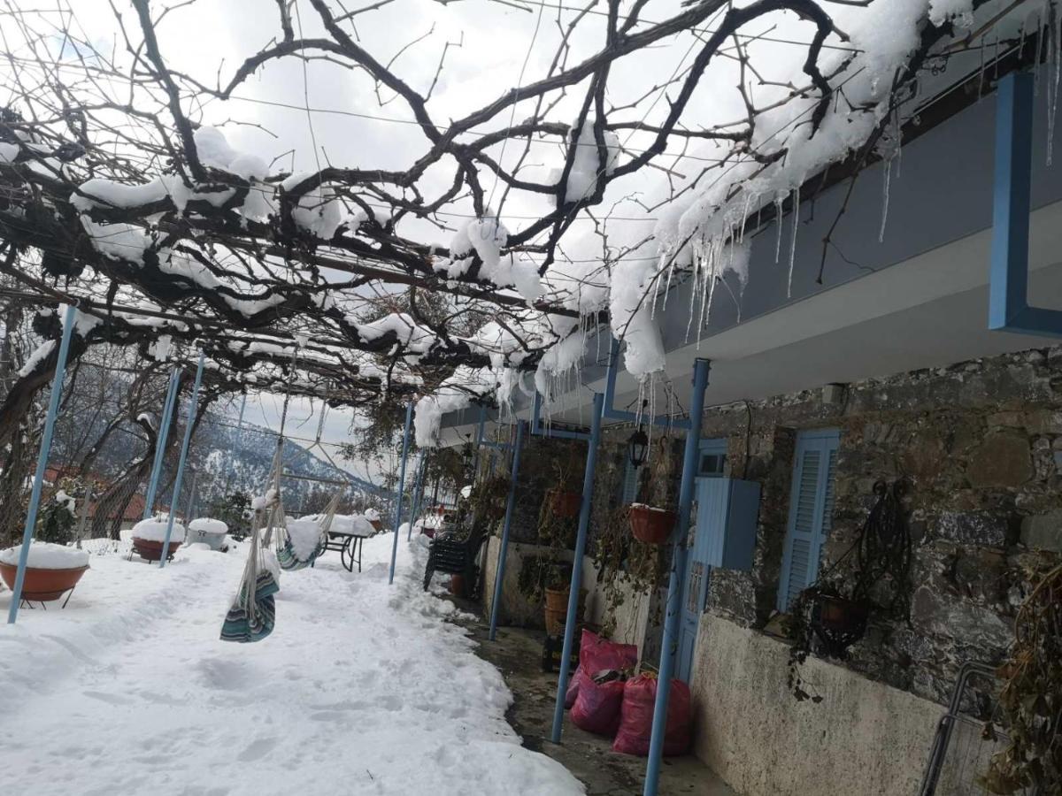 Holiday House Prodromos Luaran gambar